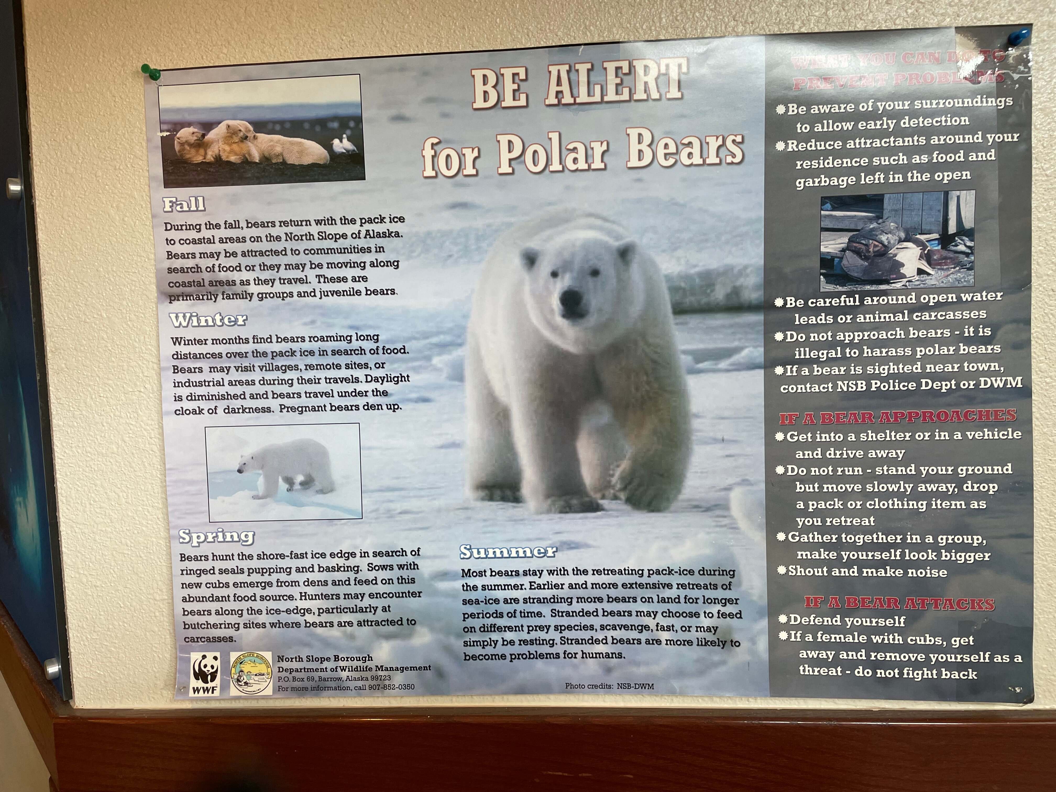 King Eider Inn of Barrow Alaska-官方