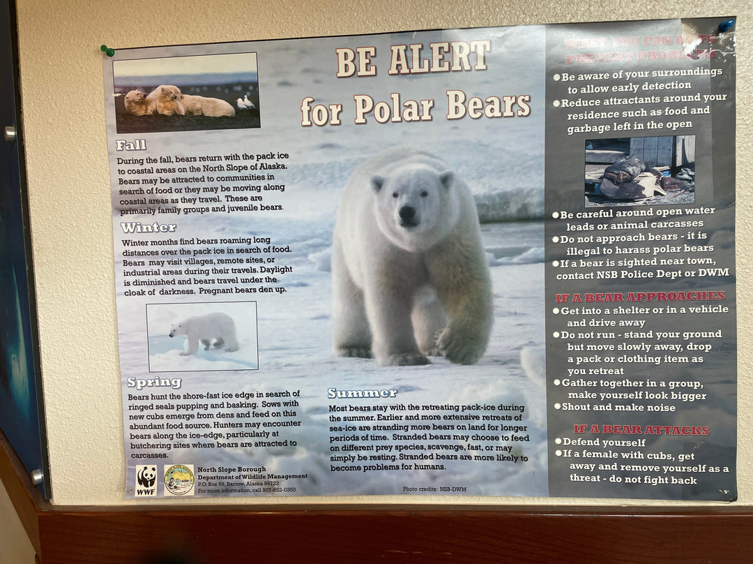 King Eider Inn of Barrow Alaska主图