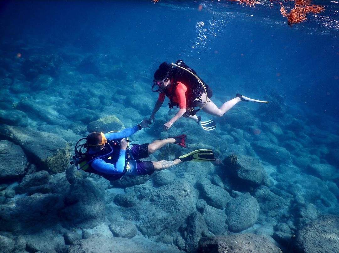 Basse-terre Plongée-Gourbeyre必去景点