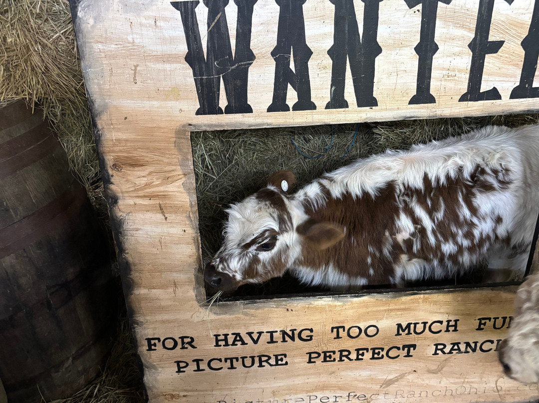 Picture Picture Ranch-Lancaster必去景点