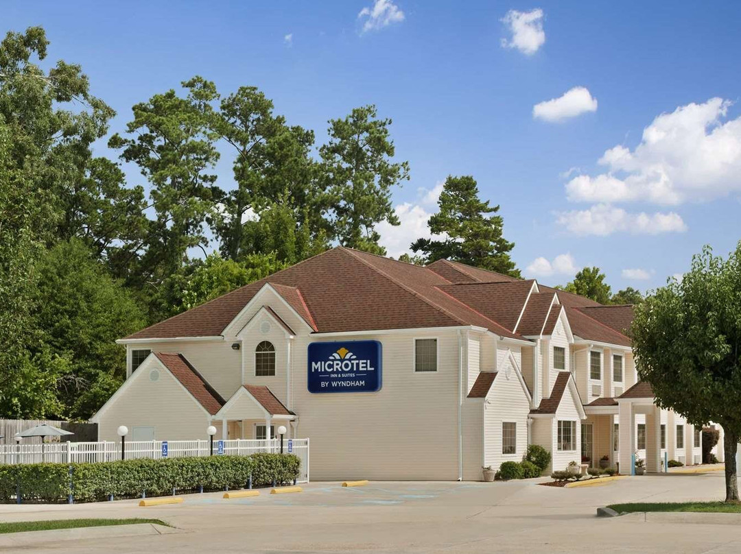 Springfield酒店住宿-Microtel Inn & Suites by Wyndham Ponchatoula/Hammond