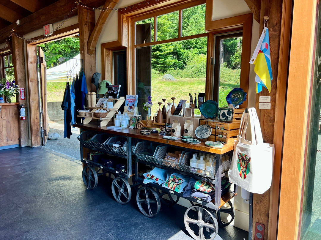 Sage Hayward Vineyards-Saturna Island必去景点