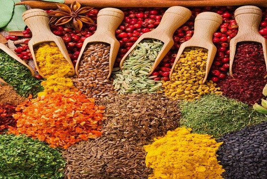 Treasure Travels and safaris