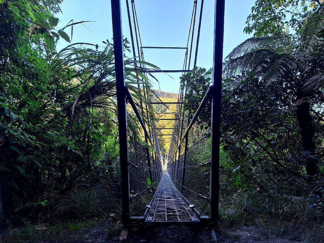 Waiohine Gorge Suspension Bridge-Carterton必去景点