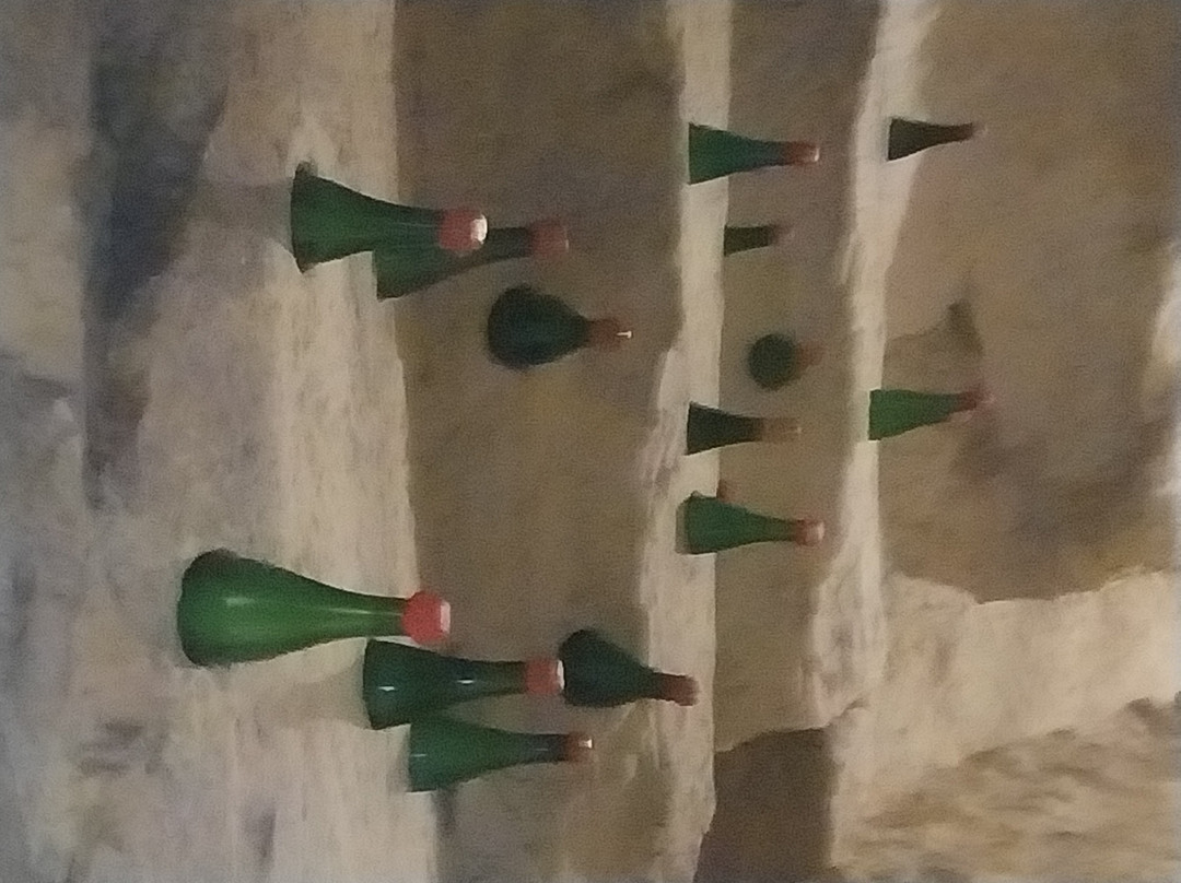 Les Caves Champignonnières Des Roches-Bourre必去景点