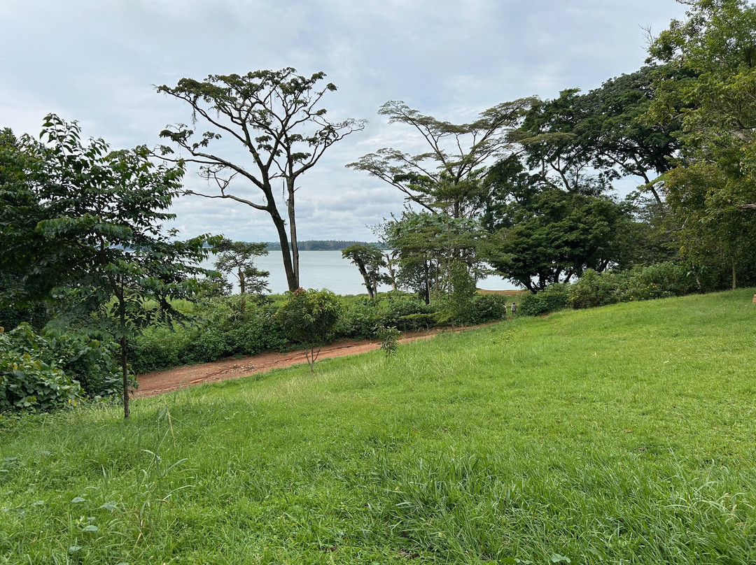 Entebbe Botanical Gardens-恩德培必去景点