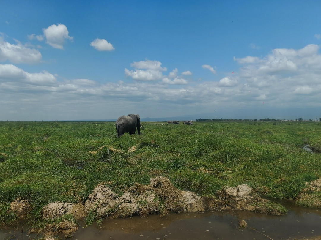 Travelcare Limited-内罗毕必去景点