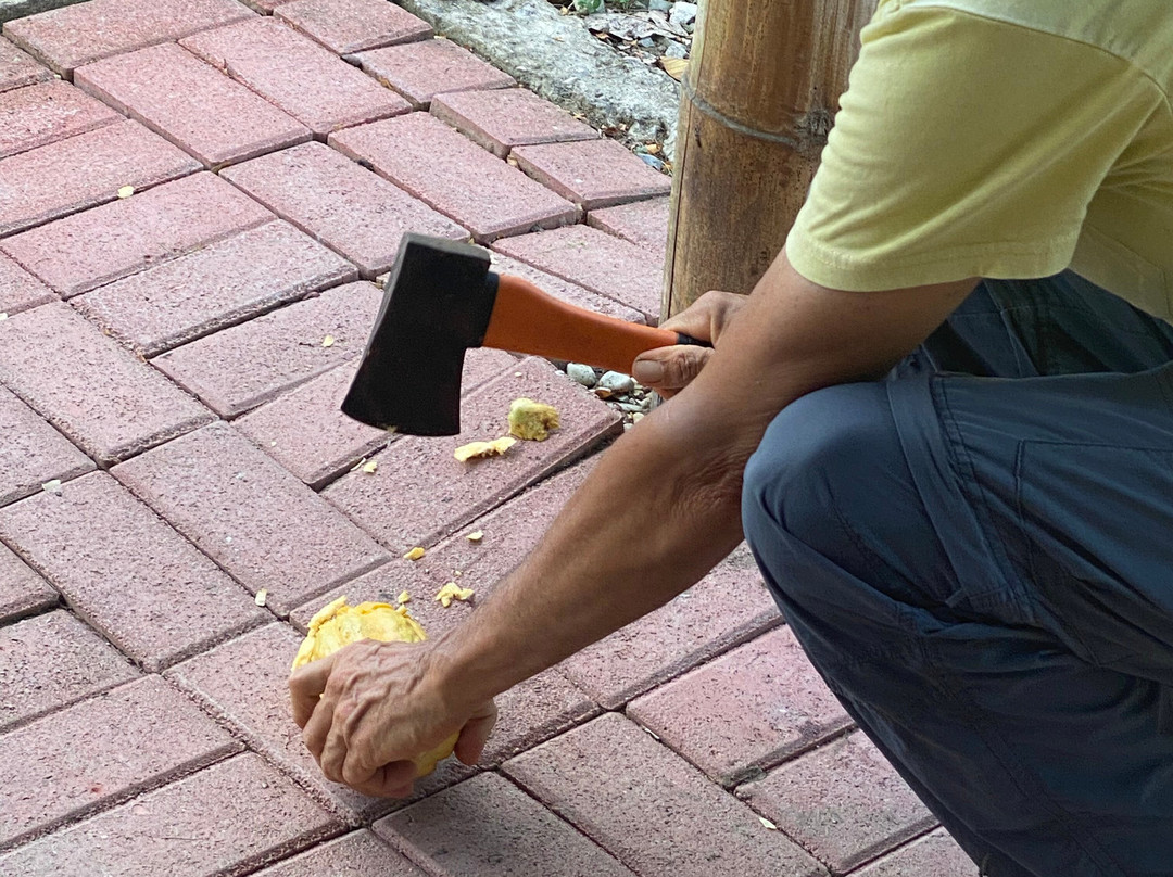 Libélula Finca Agroecológica-Manglaralto必去景点