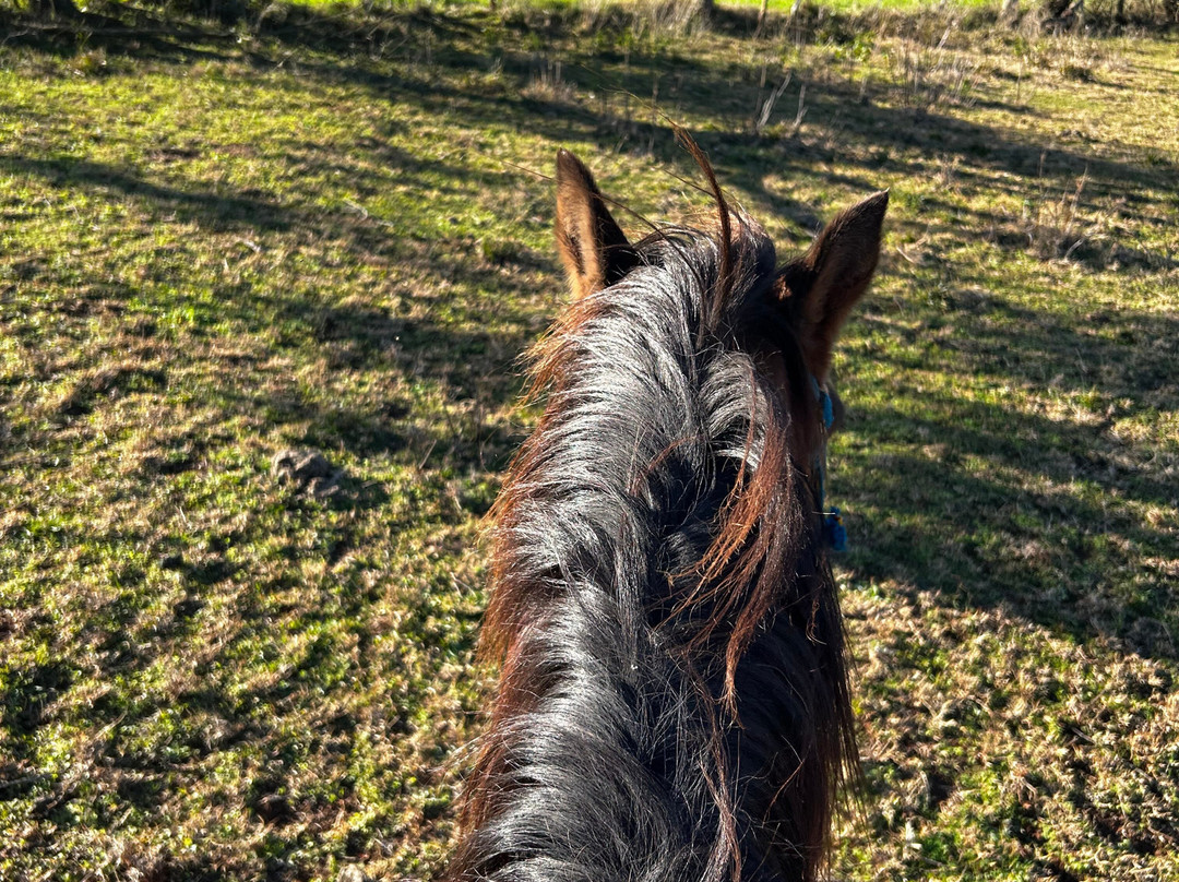 Borraio Minhas Origens-Sao Miguel das Missoes必去景点