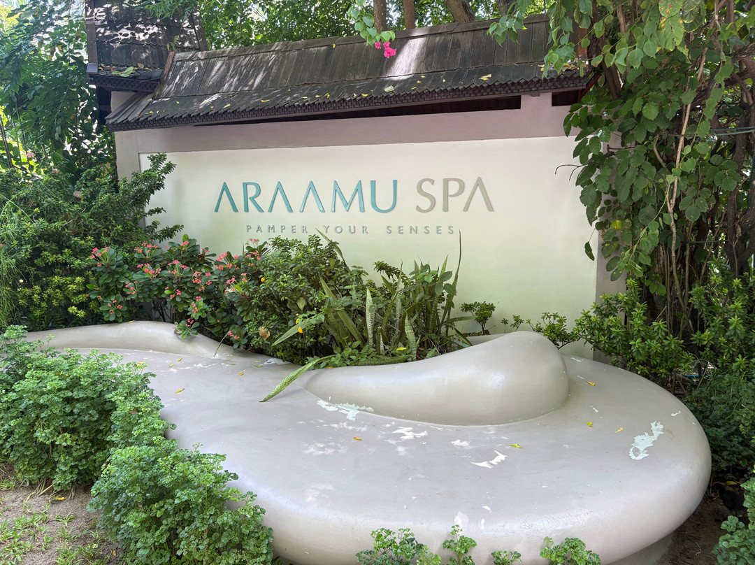 Araamu Spa-太阳岛必去景点