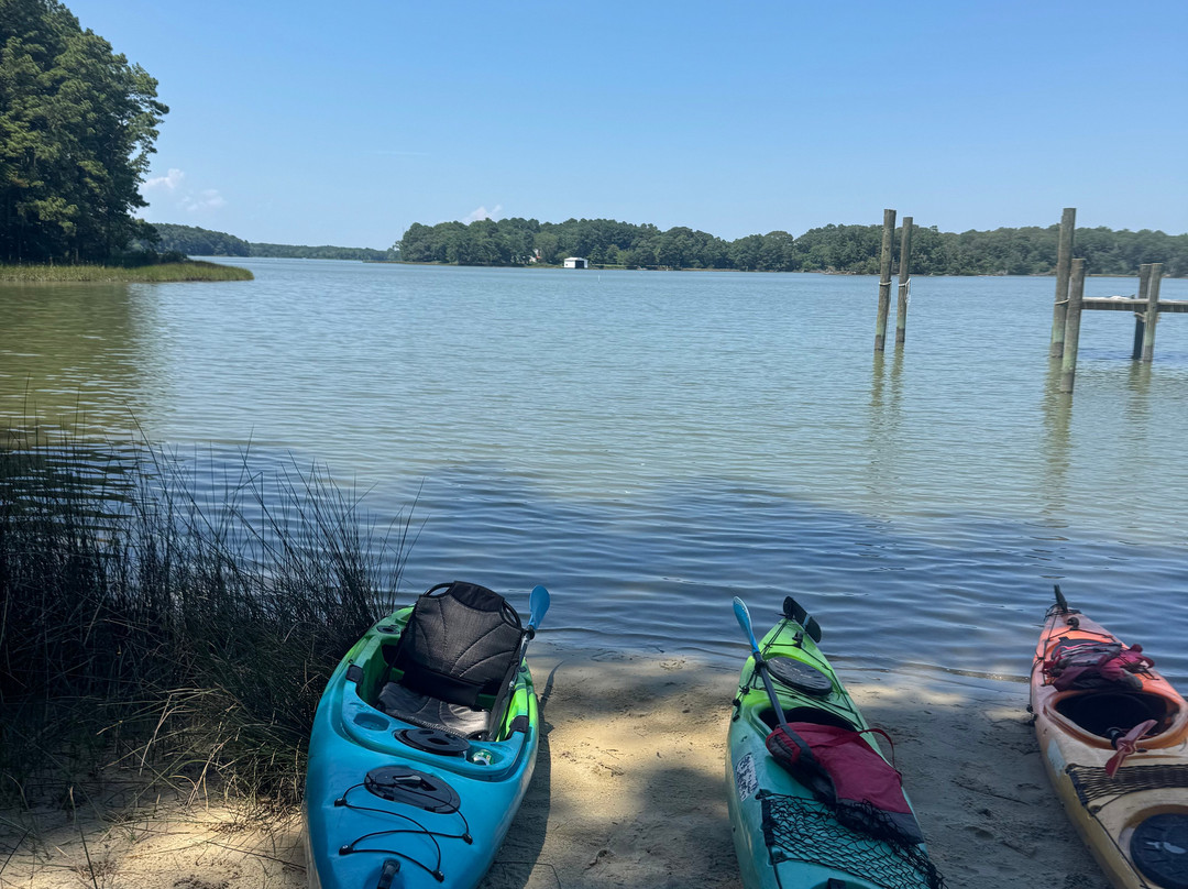 SouthEast Expeditions-Cape Charles必去景点