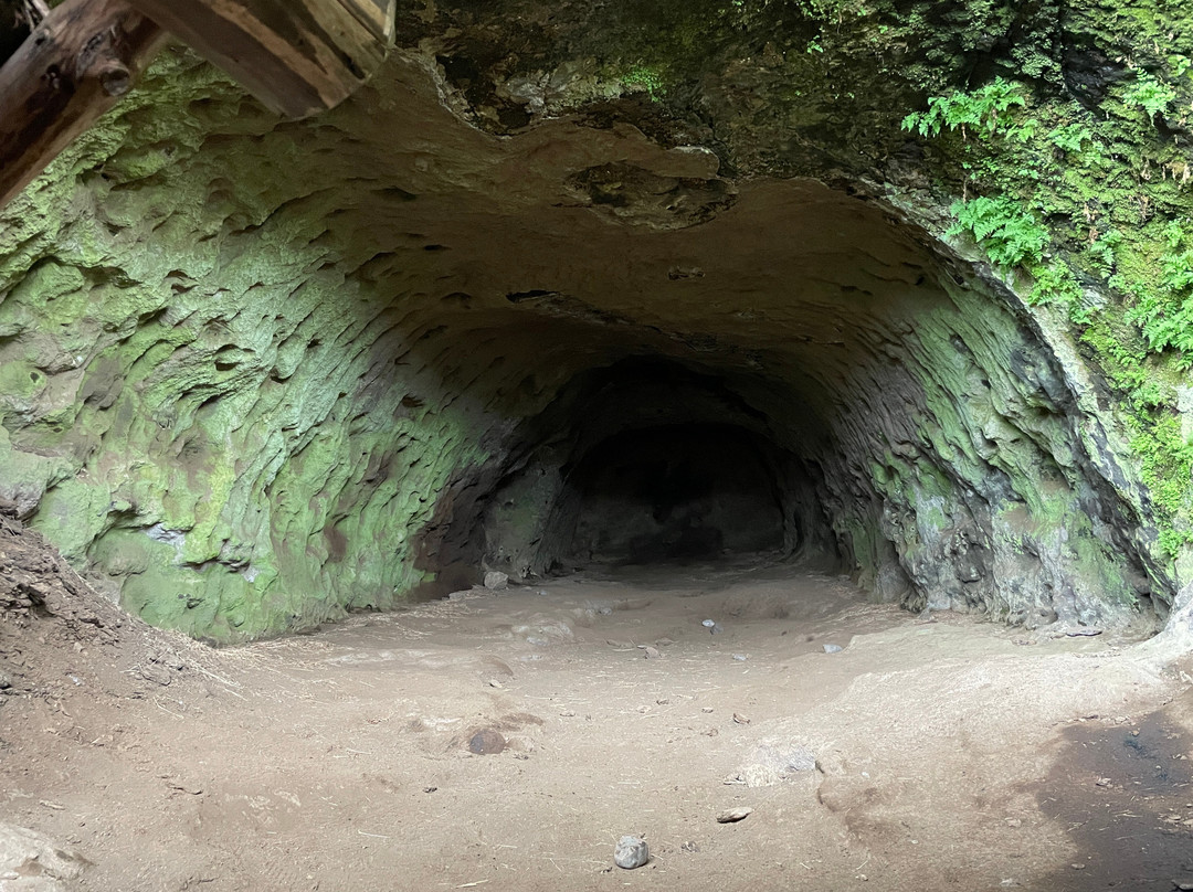 Rútshellir Cave-Skogar必去景点