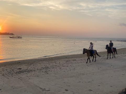 Gili Meno Stable Horse Riding Adventures