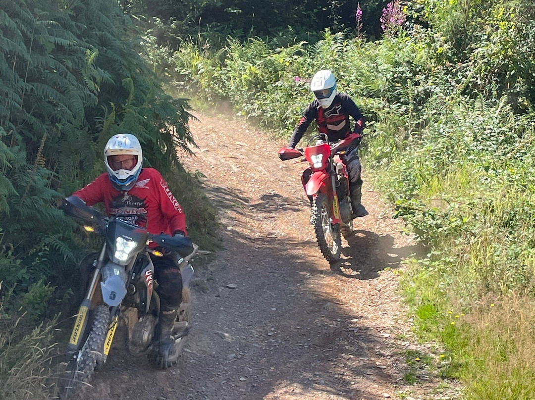 Dave Thorpe Honda Off-Road Centre-萨默塞特郡必去景点