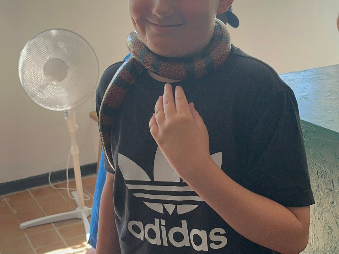 Reptile Encounters Scotland Ltd-Stevenston必去景点