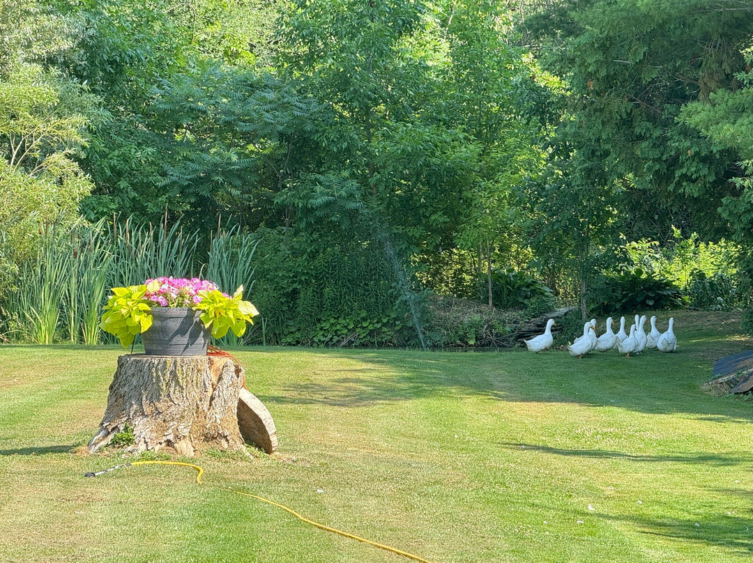 Field Day B&B