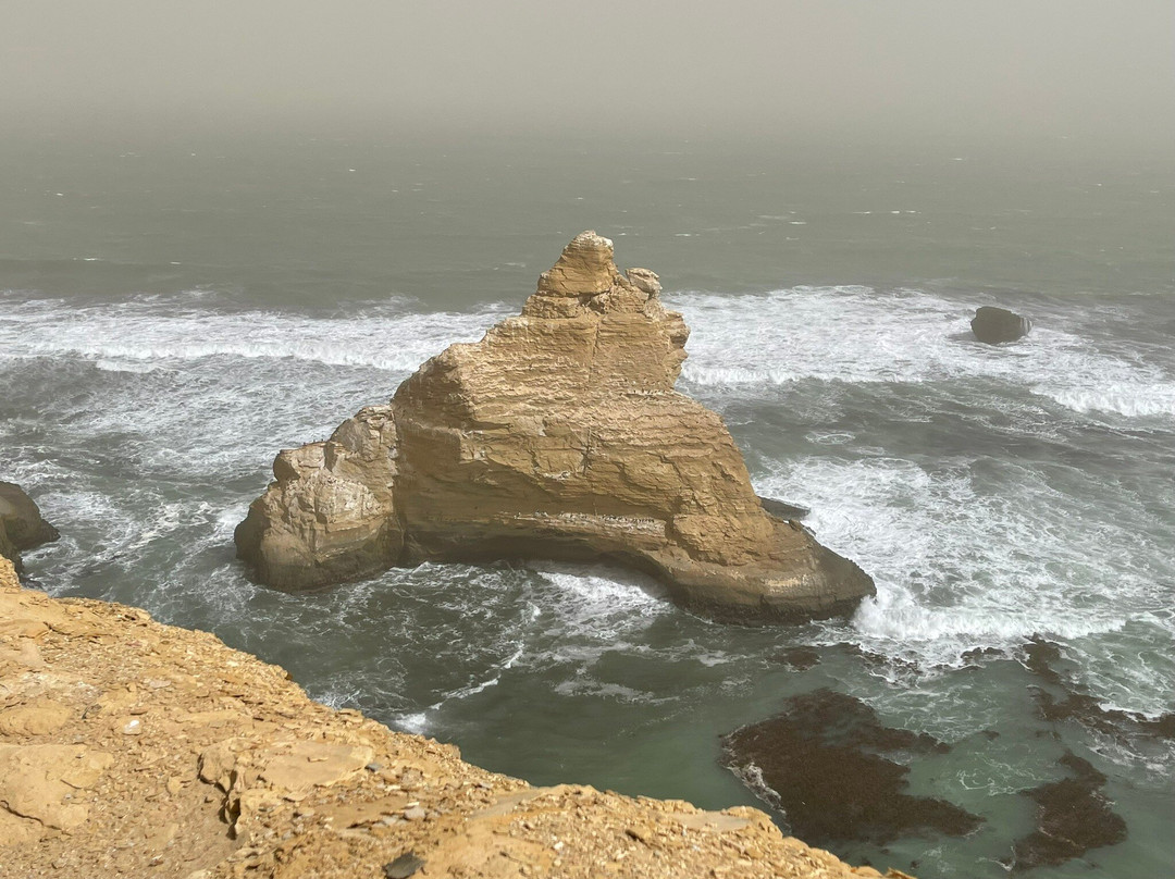 Paracas National Reserve-皮斯科必去景点
