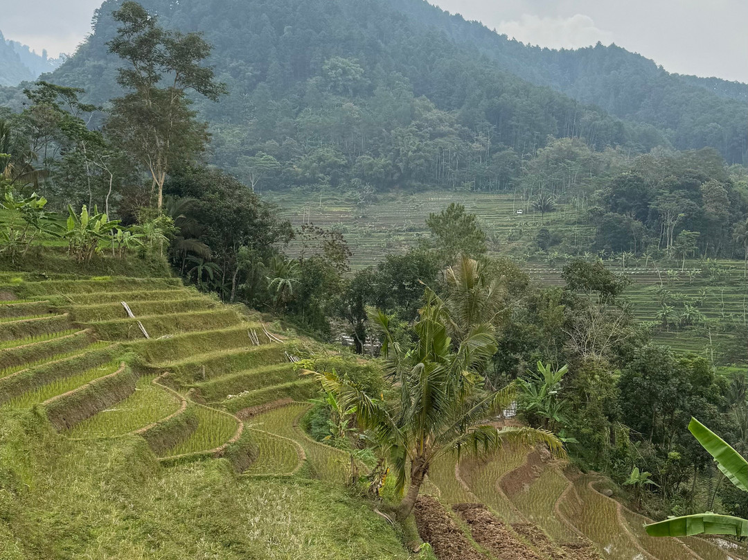 Jogjatripper-Yogyakarta必去景点