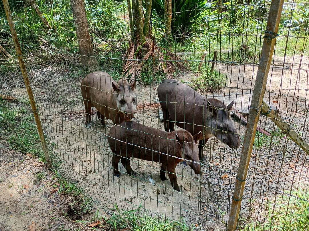 Zoo de Guyane-Macouria必去景点