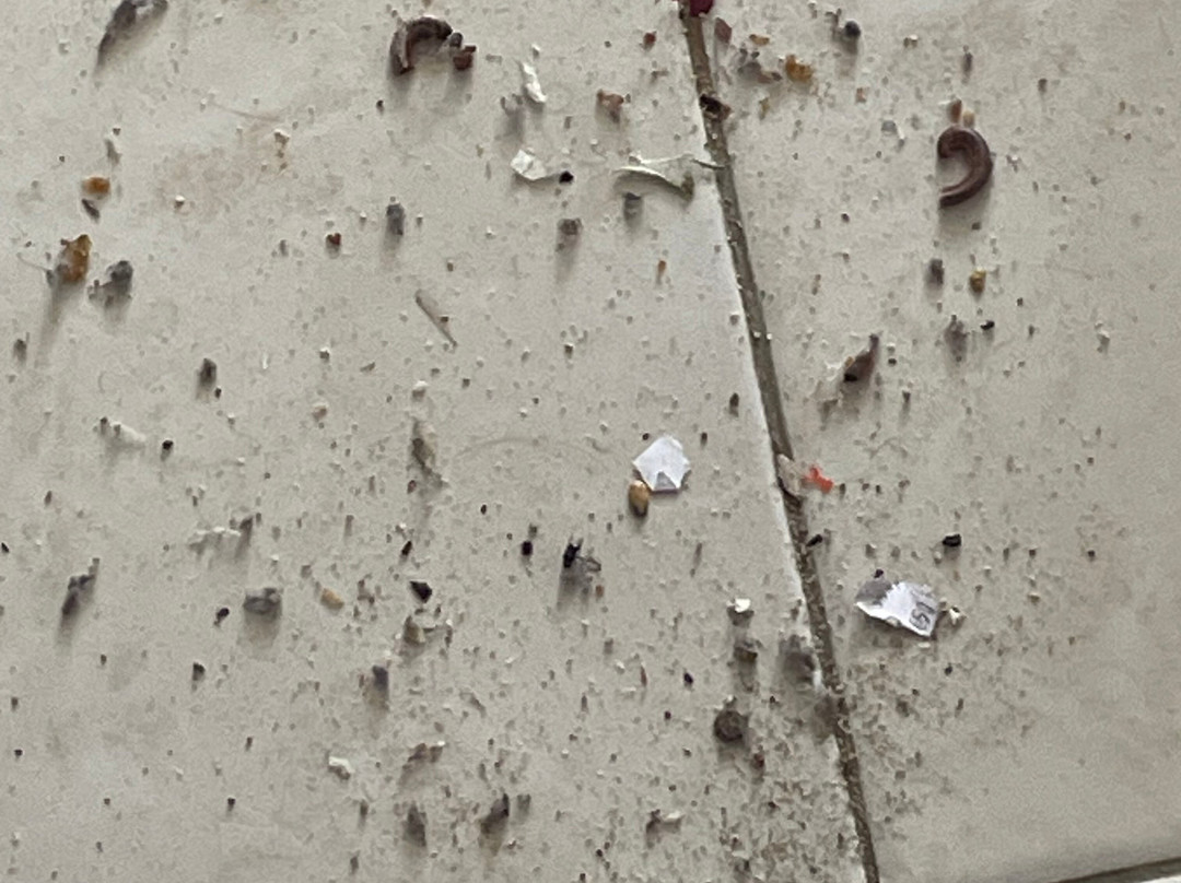 Lantana Resort主图