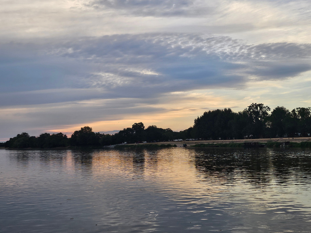 Loire Odyssée-Saint-Mathurin-sur-Loire必去景点
