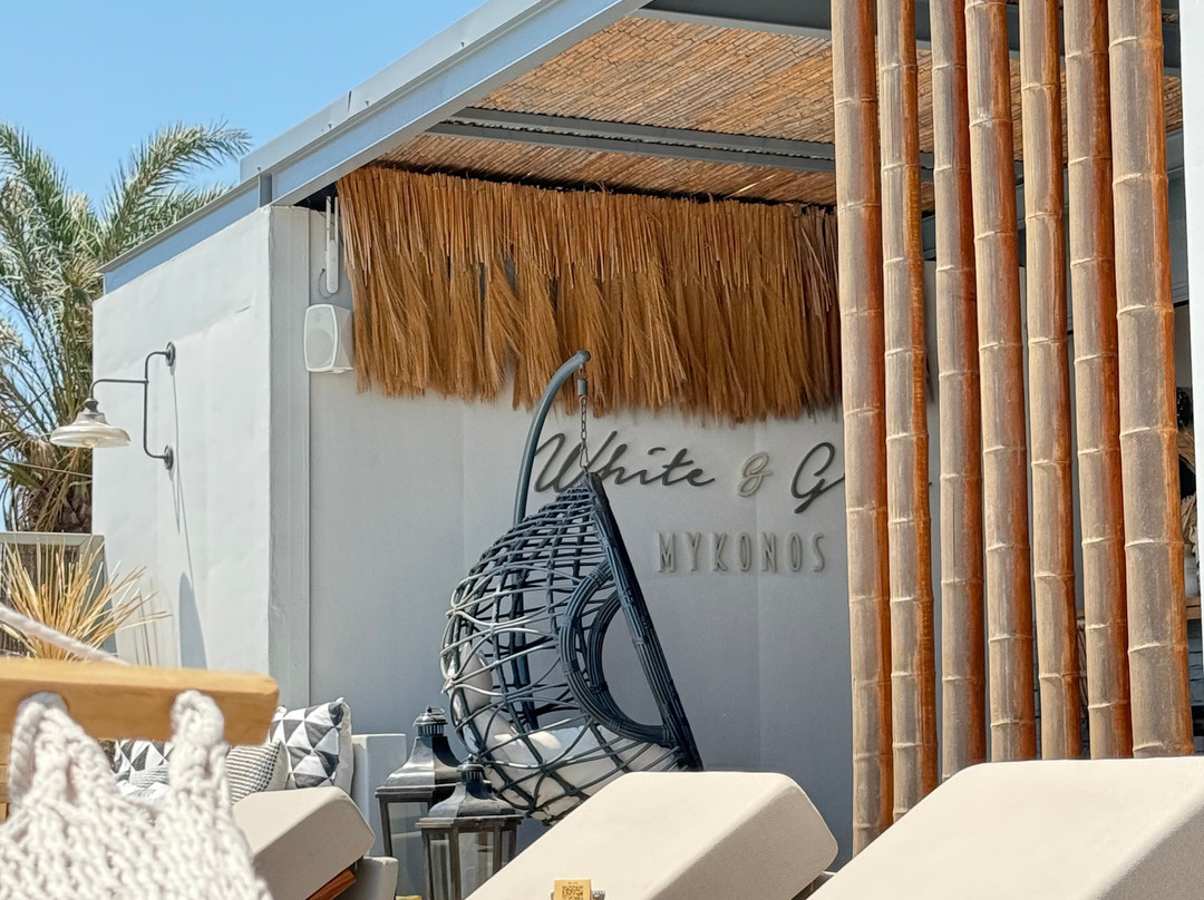 White and Grey主图