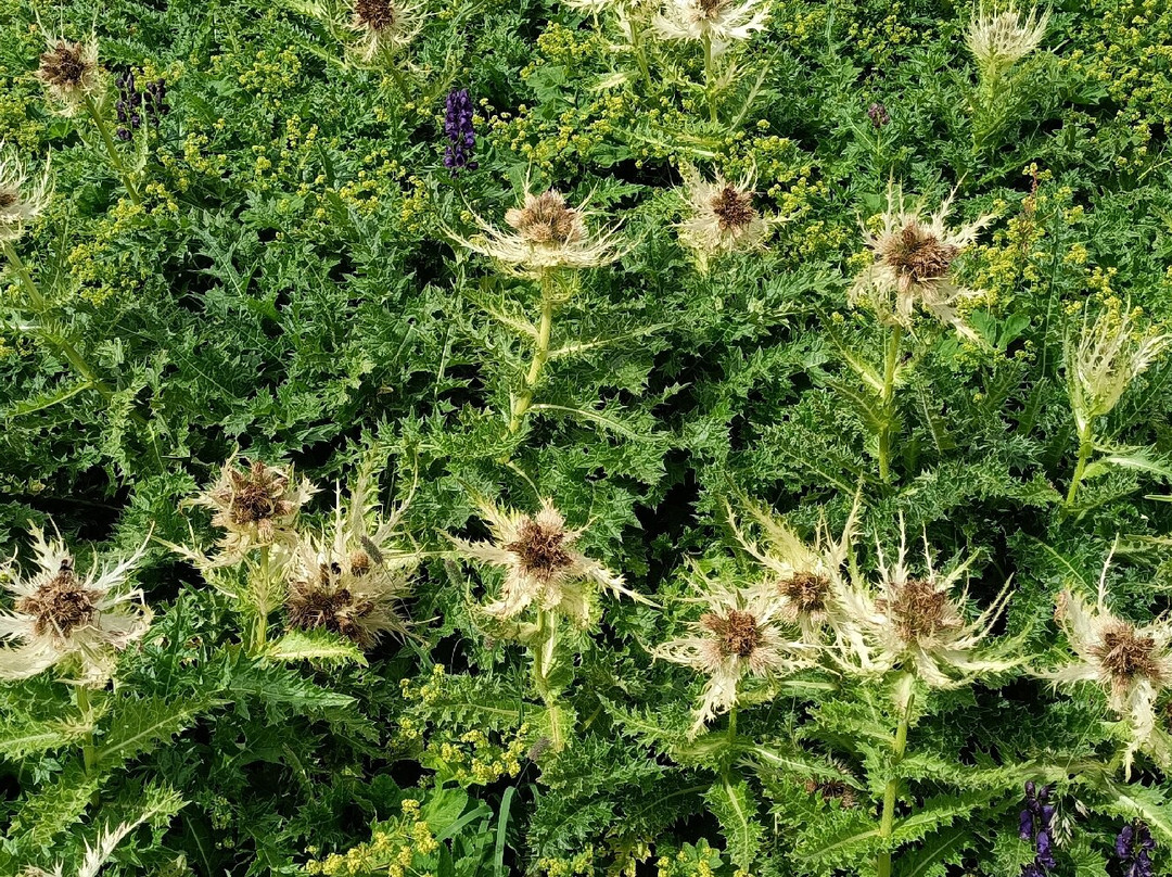 Großglockner National Park-海利根布卢特必去景点