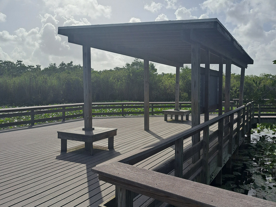 大沼泽地步道-大沼泽国家公园必去景点