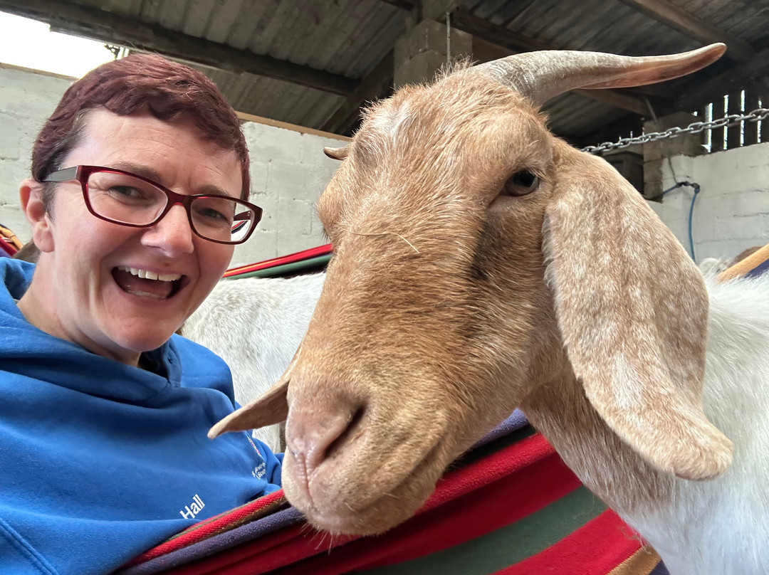 Cronkshaw Fold Farm-Rossendale必去景点