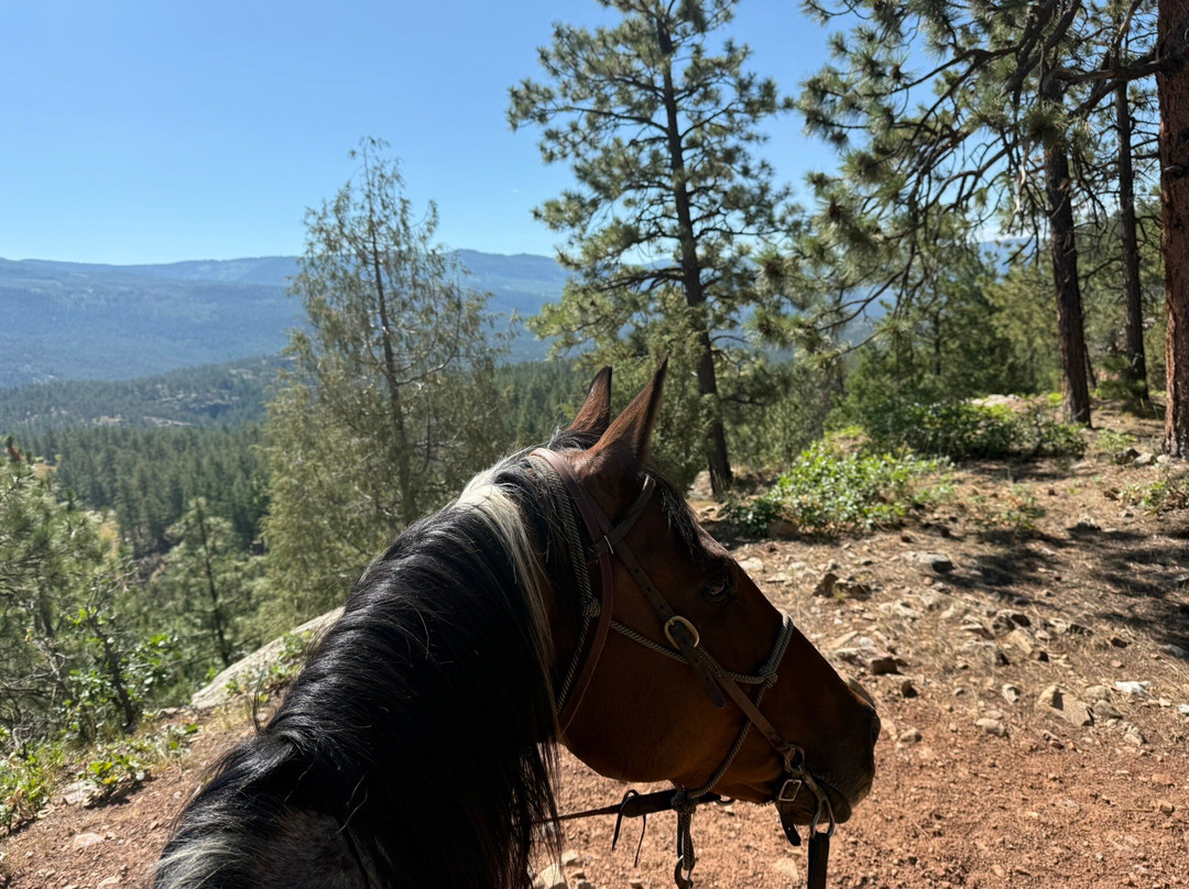 Bears Ranch-杜兰戈必去景点
