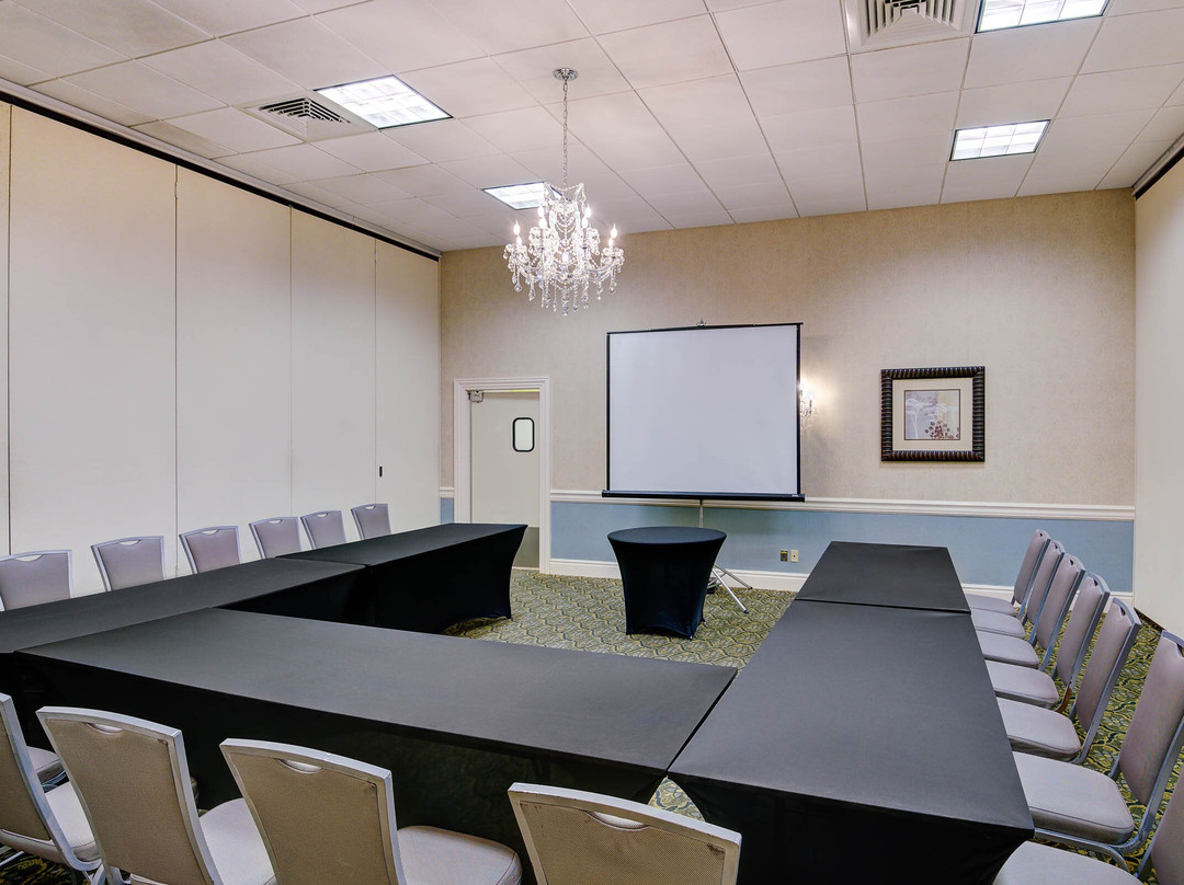 弗里霍尔德雷迪森酒店主图