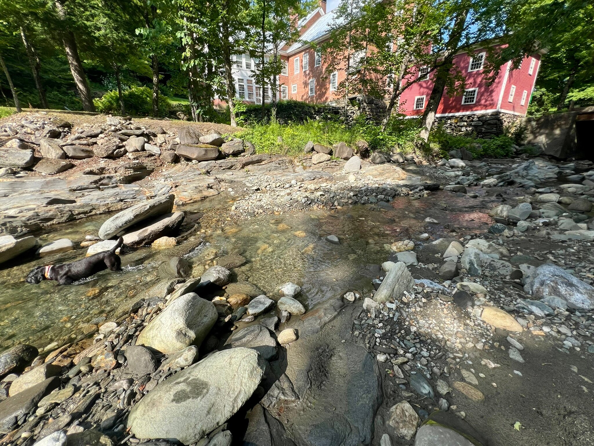 Bailey's Mills Bed and Breakfast-泳池