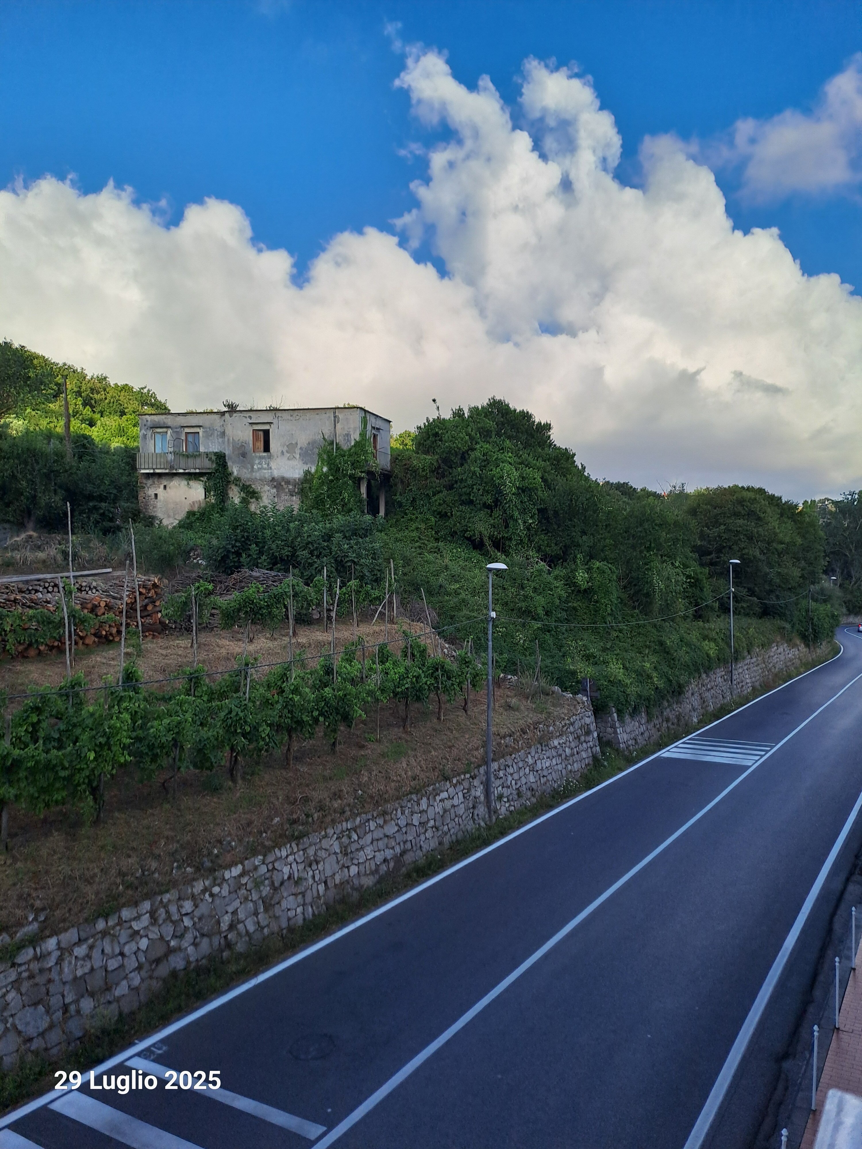 Hotel Royal Hills-官方