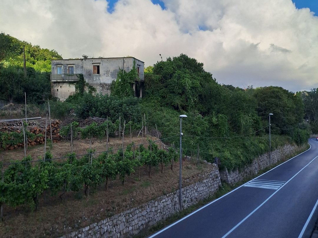 Hotel Royal Hills主图