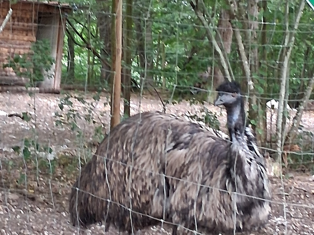 Ferme-Rieumes必去景点