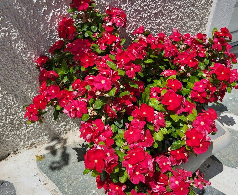 Logaras Beach-帕罗斯岛必去景点