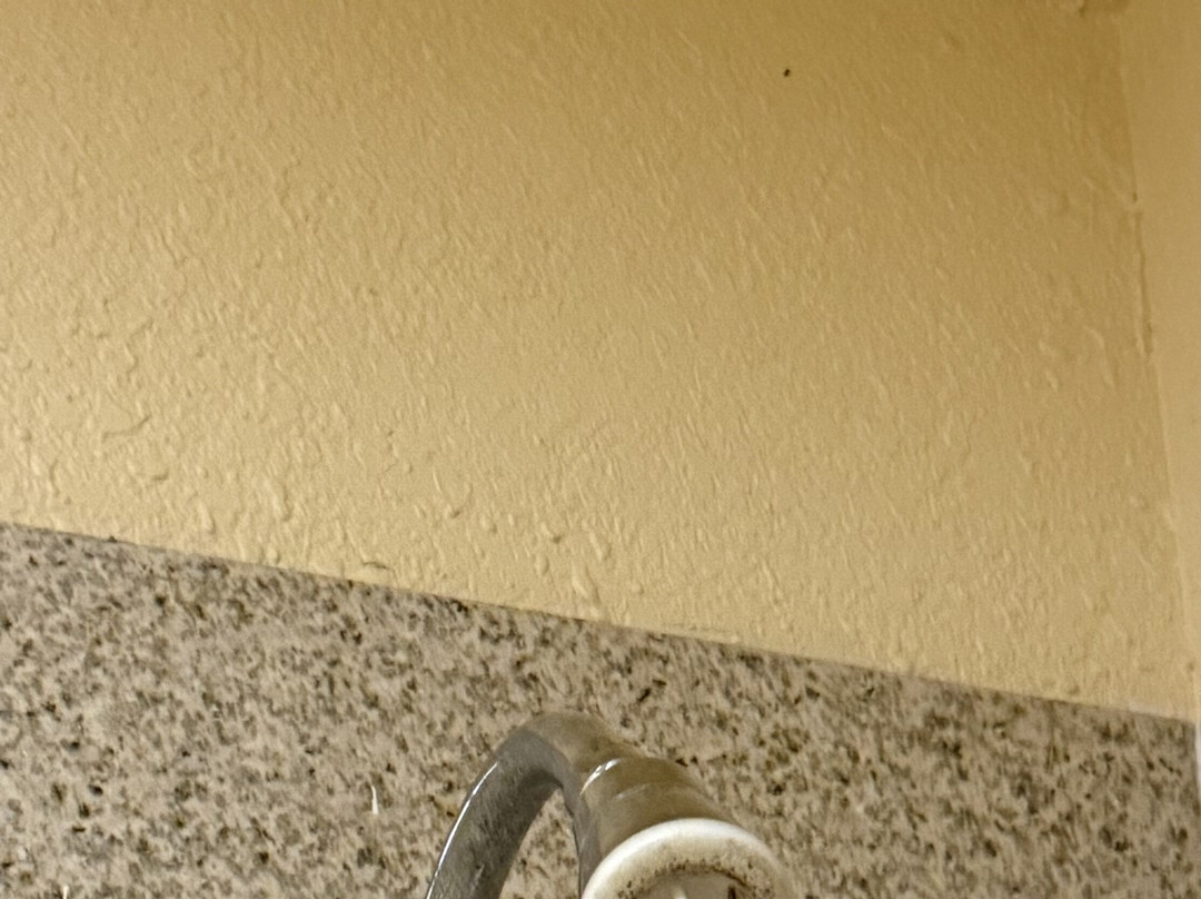 River Valley Motor Inn主图