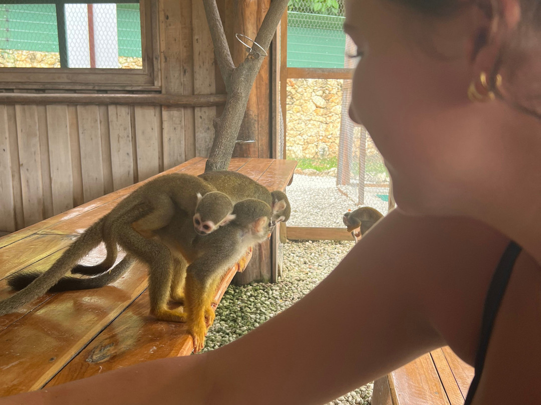 Evolution Adventure Park-蓬塔卡纳必去景点