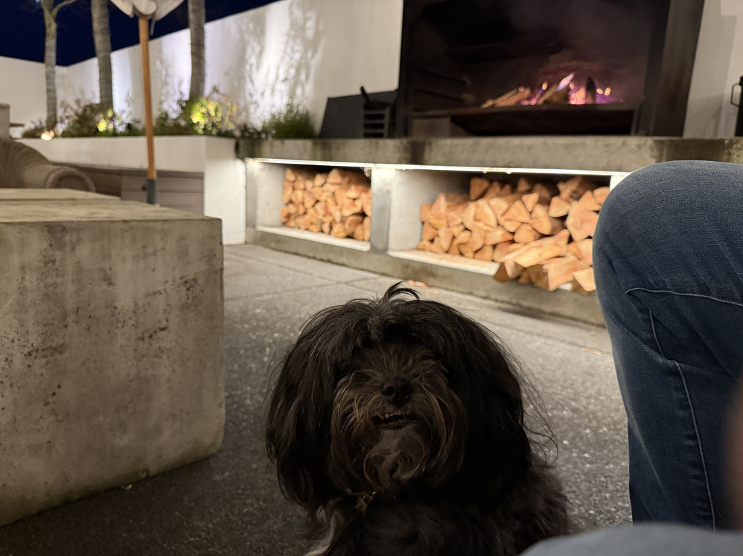 Hotel Montreal主图