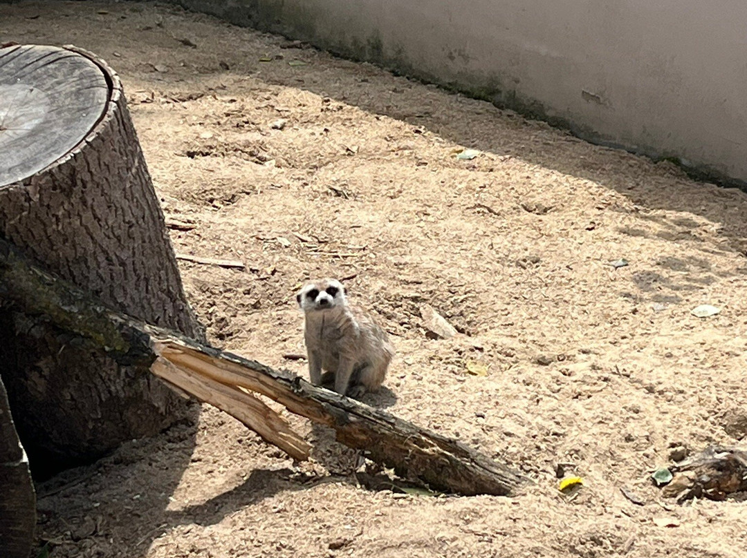 Zoopark Na Hrádečku-英吉夫必去景点