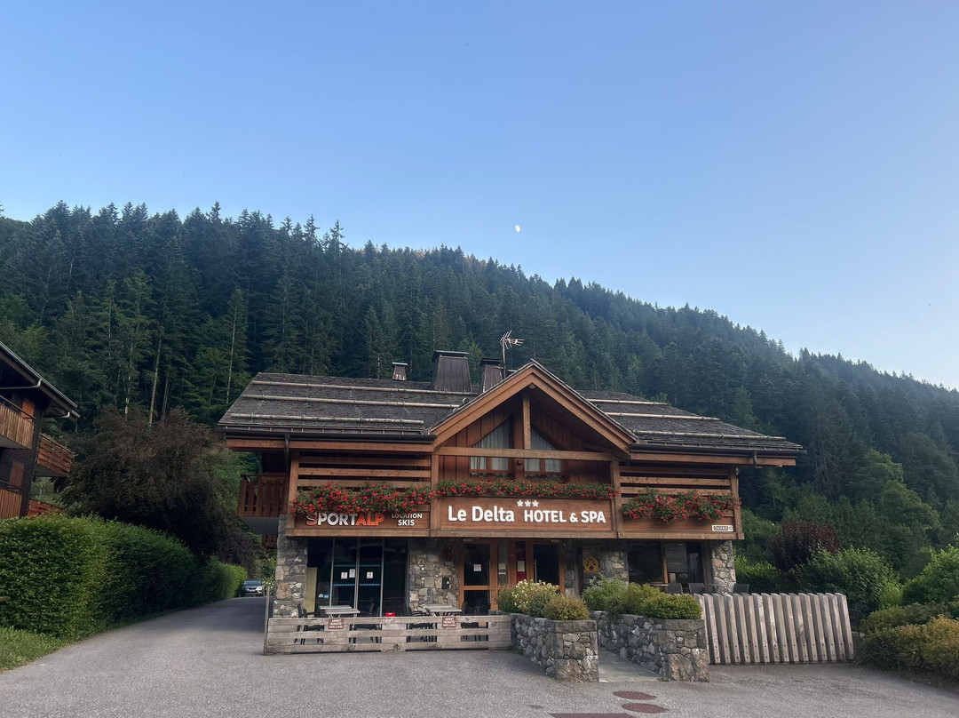 Hotel Le Delta主图