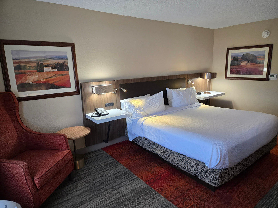 Hilton Garden Inn Florence主图