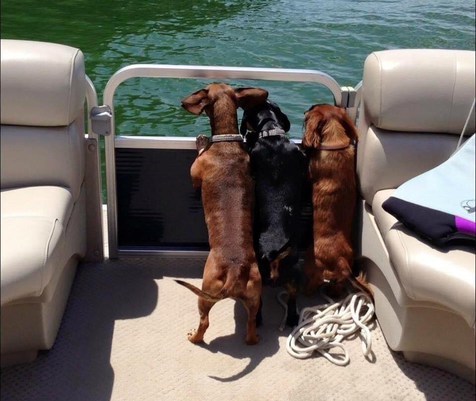 Smith Lake RV & Cabin Resort-Crane Hill必去景点