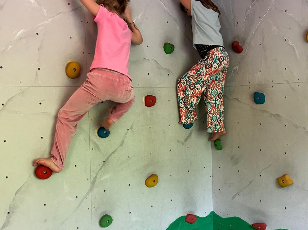 阿尔卑斯霍夫酒店主图