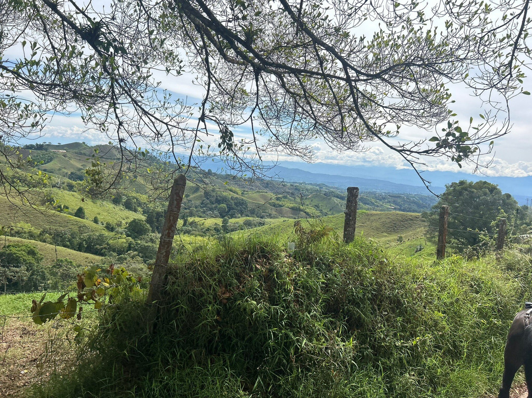 Steel Horse Colombia-Filandia必去景点