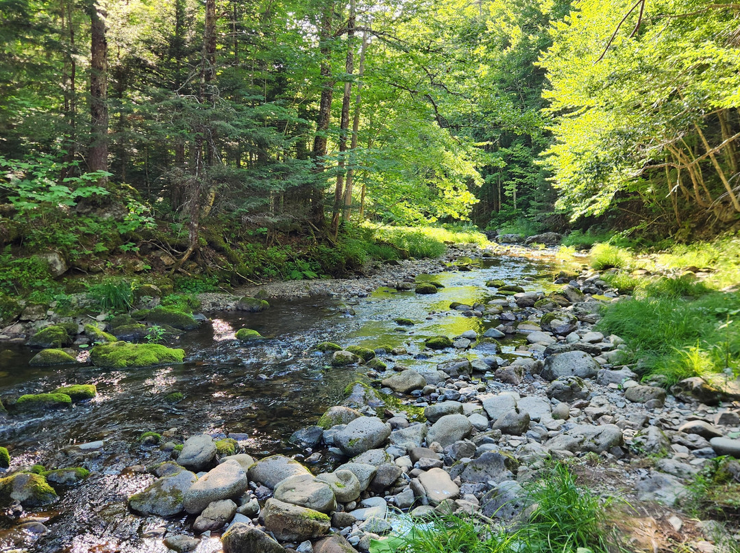Egypt Falls-Margaree Harbour必去景点