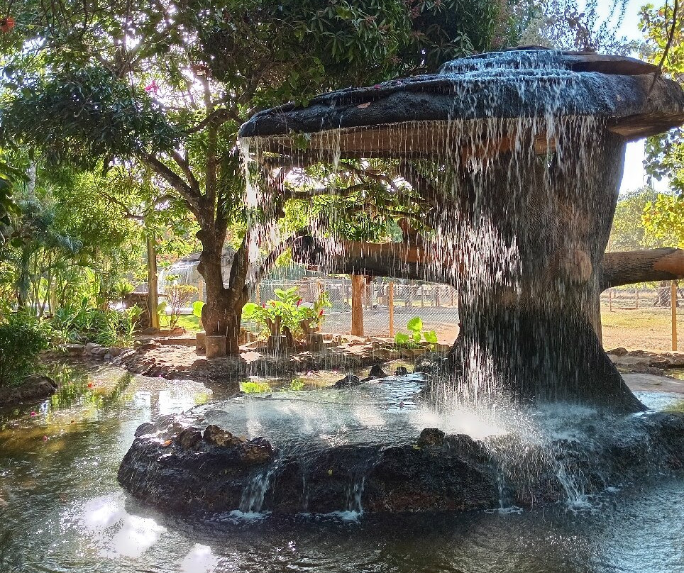 Jardim Japonês-Caldas Novas必去景点