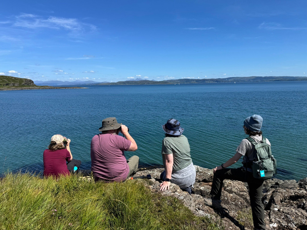 Mull Magic Wildlife - Day Tours-Tobermory必去景点