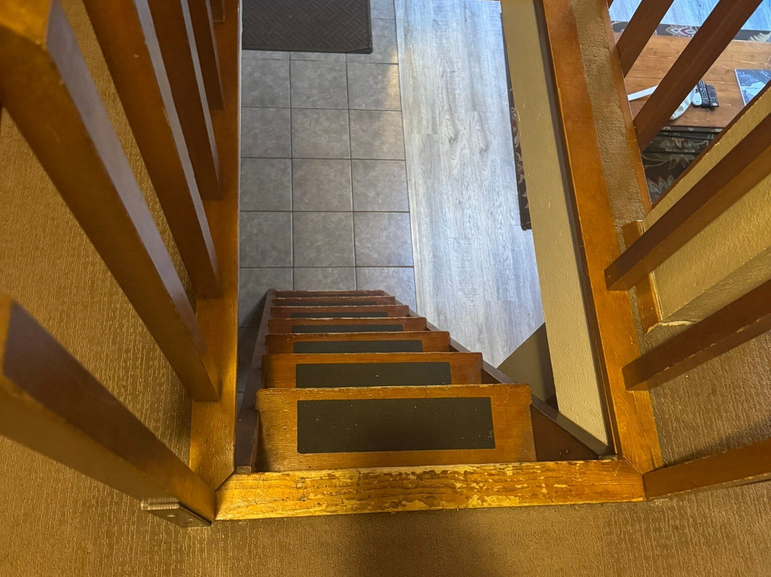 LOGE Alta Crystal主图