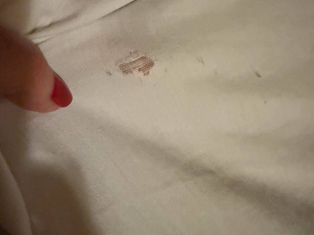 LOGE Alta Crystal主图